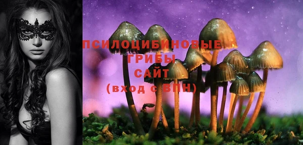 MDMA Premium VHQ Бородино